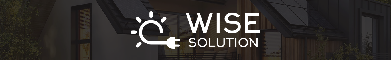 partner: WISESOLUTION